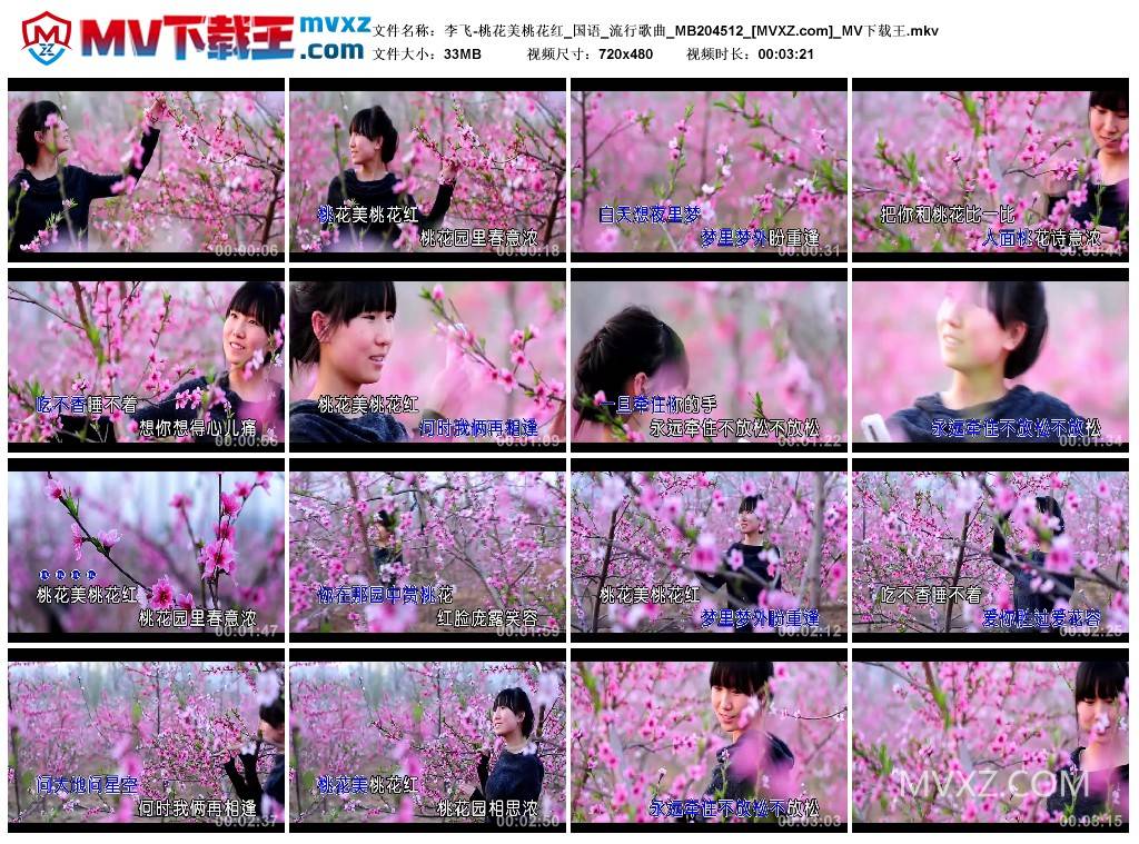 李飞-桃花美桃花红_国语_流行歌曲_MB204512